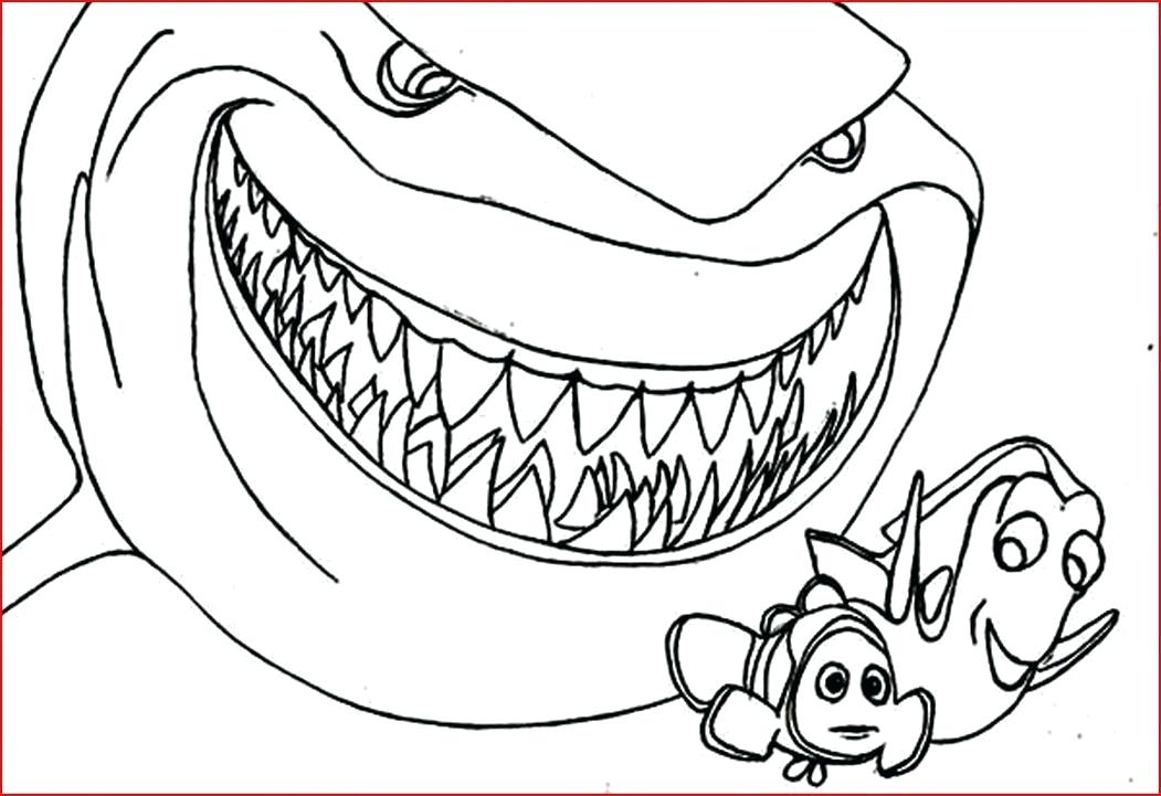 1051x721 Sharks Coloring Pages Printable Shark Coloring Pages Free Coloring