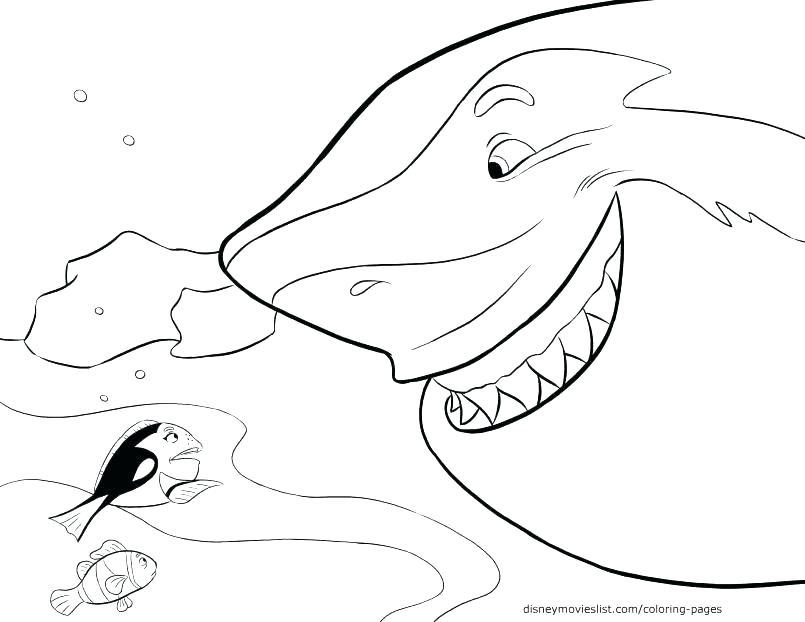805x622 Sharks Coloring Pages Realistic Shark Coloring Pages Shark