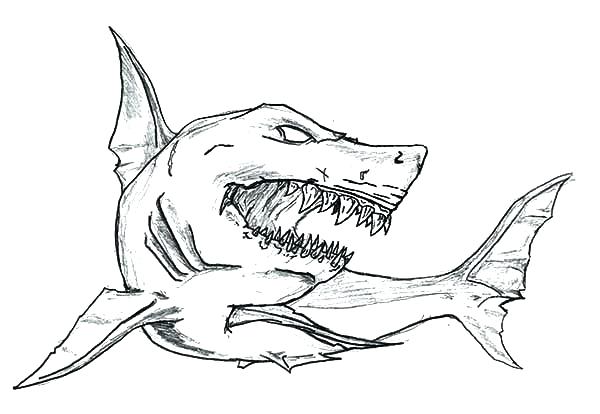 600x414 Shark Coloring Pages Printable Tiger Shark Coloring Page Scary