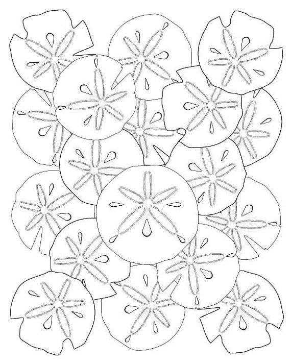 570x713 Soothing Sand Dollar Adult Coloring Page By Leetowledesigns