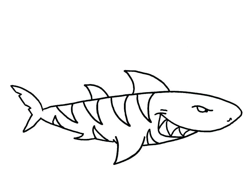 792x600 Enchanting Coloring Pages Sharks