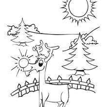 220x220 Rudolph And Santa Sleigh Coloring Pages