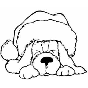 Sleeping Dog In Santa Hat Coloring Page 300x300 Sleeping Dog In Santa Hat Coloring Page