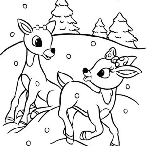 300x300 Rudolph Coloring Pages For Christmas