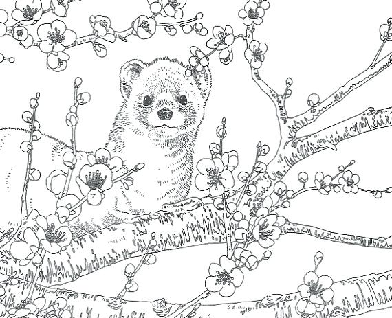 570x463 Coloring Saraswati Coloring Pages Of My Book Colouring. Saraswati