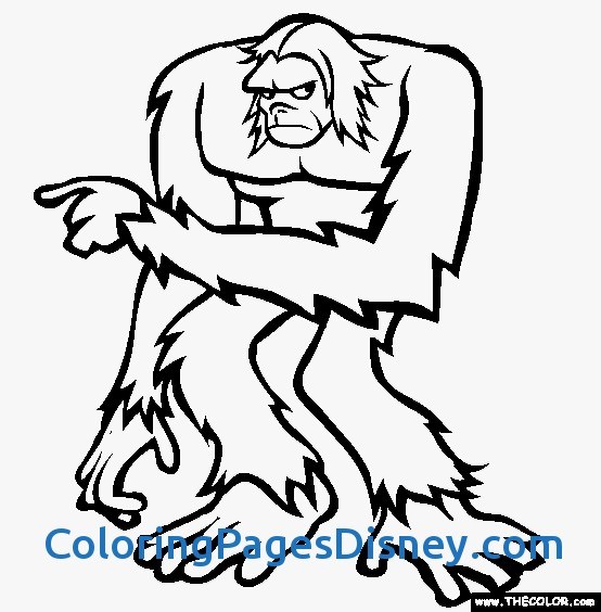 554x564 Yeti Ampamp Bigfoot Coloring Pages Beautiful Sasquatch Colouring