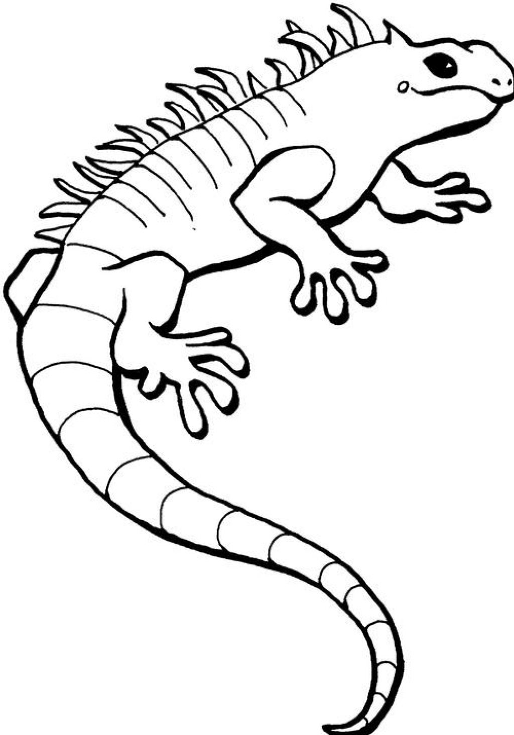 1024x1464 Iguana Coloring Page Free Printable Pages For Kids