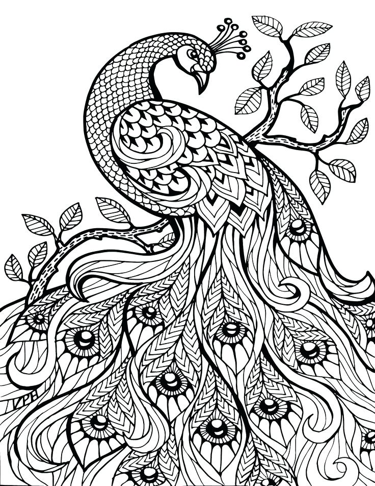 736x952 Animal Coloring Pages For Adults Animal Coloring Pages Coloring
