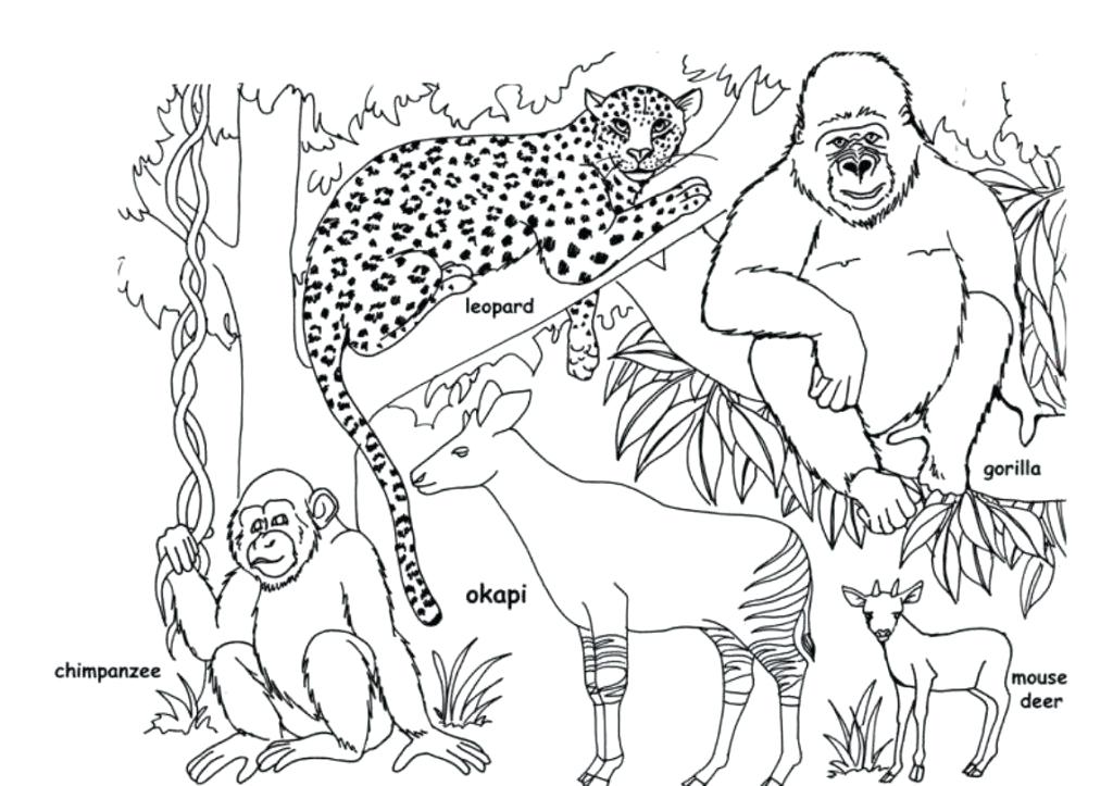 1024x723 Coloring Pages African Animals Safari Animal Coloring Pages