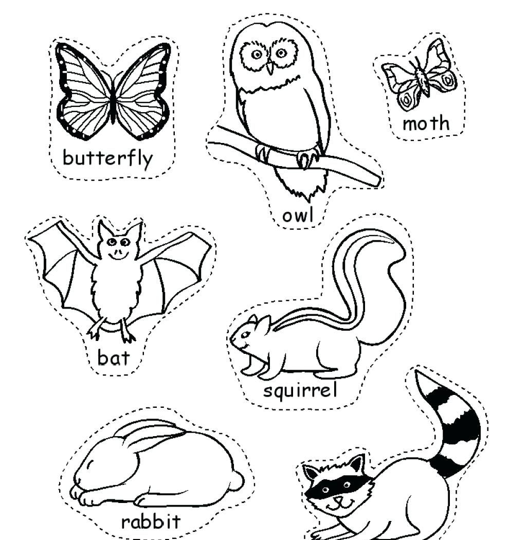 1025x1050 Drawn Hunting African Savanna Elephant Free Printable Coloring