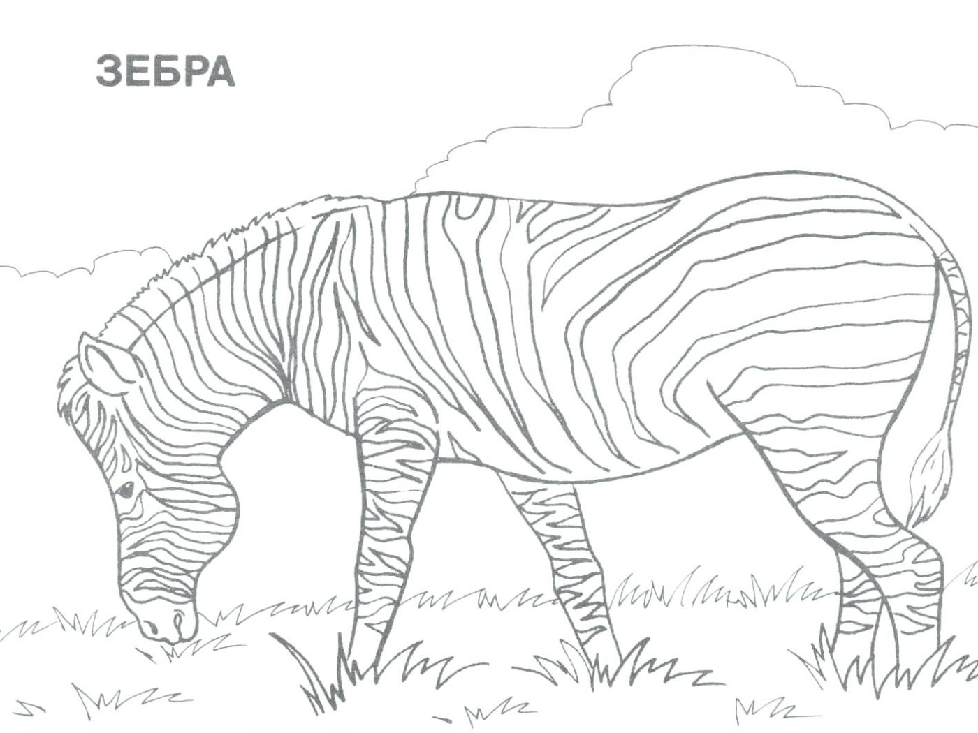 1400x1050 Learn Colors For Children With African Animals Coloring Pages Kids