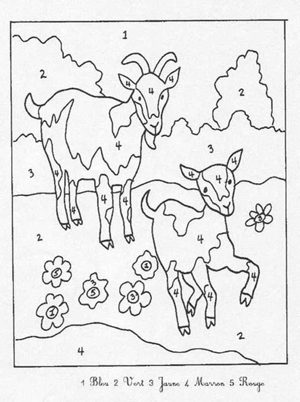 598x800 Coloriage Magique Simple, Pour Les Petits Enfants