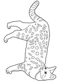 236x314 Halloween Queen Favorite Cat Colouring Pages