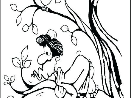 Outstanding Zacchaeus Coloring Page Saw Coloring Page 7 Pages 440x330 Outstanding Zacchaeus Coloring Page Saw Coloring Page 7 Pages