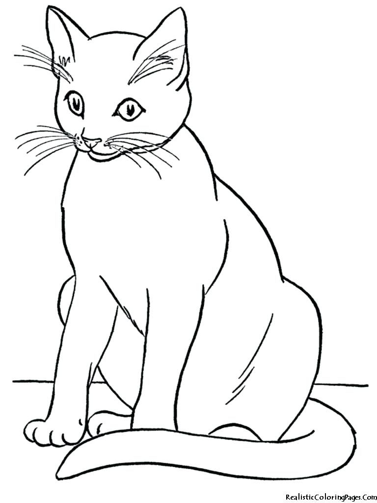 768x1024 Coloring For Kids Amazing Black Caten Pages Free Printable Cat