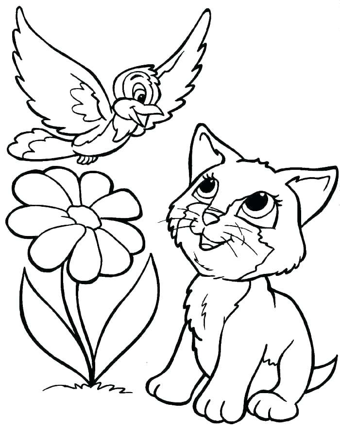 700x890 Black Cat Coloring Black Cat Colouring Pages