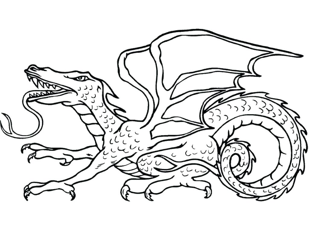 Lovely Scary Dragon Coloring Pages For Scary Dragon Coloring Pages 1024x767 Lovely Scary Dragon Coloring Pages For Scary Dragon Coloring Pages