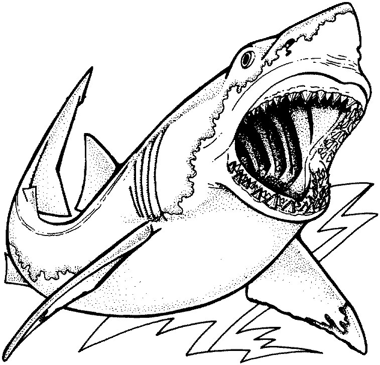 Shark Color Pages Az Coloring Pages Coloring Pages Snakes Scary 757x727 Shark Color Pages Az Coloring Pages Coloring Pages Snakes Scary