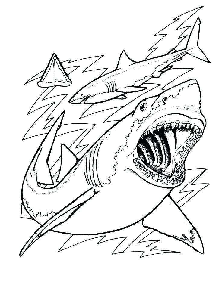 Tiger Shark Coloring Page 736x957 Tiger Shark Coloring Page