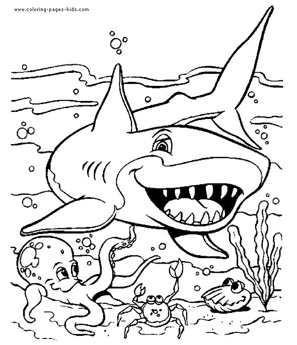Free Printable Shark Coloring Pages 590x687 Free Printable Shark Coloring Pages