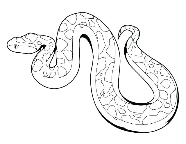 Coloring Pages Snakes Snake Coloring Pages To Print Snake Color 640x495 Coloring Pages Snakes Snake Coloring Pages To Print Snake Color