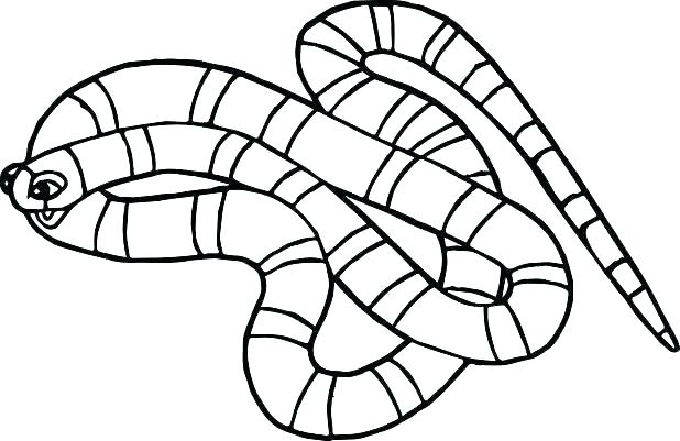Poisonous Snakes Colors Printable Coloring Snakes Coloring Pages 618x401 Poisonous Snakes Colors Printable Coloring Snakes Coloring Pages