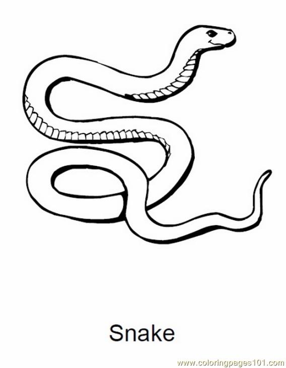 Snake 27 Coloring Page 568x732 Snake 27 Coloring Page
