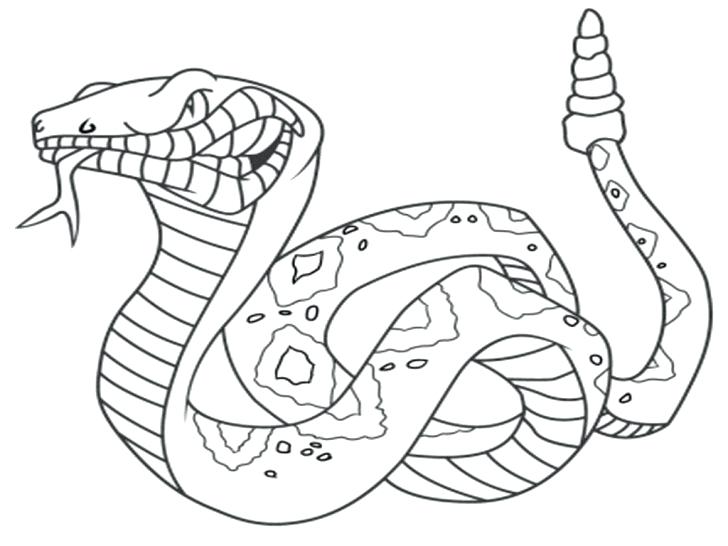 Snake Easy Pencil And In Color Snake Easy Free Coloring Coloring 728x546 Snake Easy Pencil And In Color Snake Easy Free Coloring Coloring