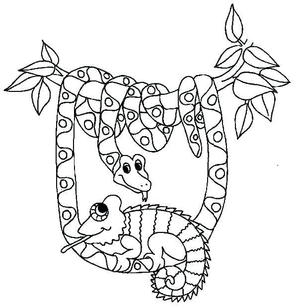 Snakes Coloring Pages Snake Coloring Pages Be Friend With Snake 600x616 Snakes Coloring Pages Snake Coloring Pages Be Friend With Snake