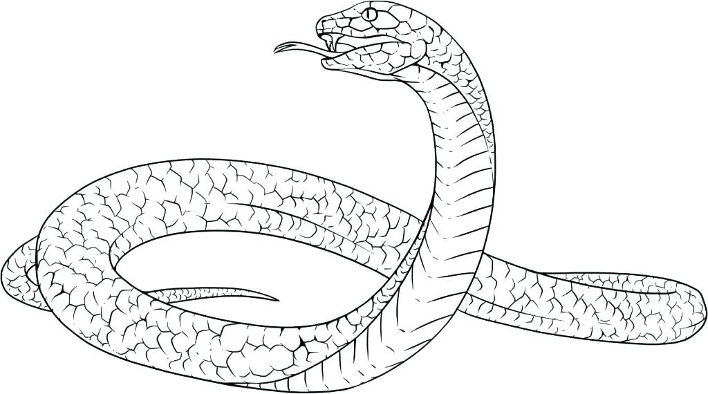 Snakes Coloring Pages Snakes Colouring Pages Clouded Snake 1024x570 Snakes Coloring Pages Snakes Colouring Pages Clouded Snake
