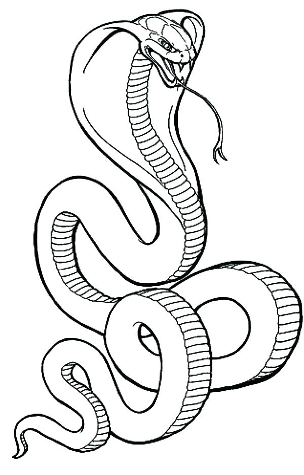 Coloring Page Snake Coloring Page Snake New Year Snake Coloring 600x937 Coloring Page Snake Coloring Page Snake New Year Snake Coloring