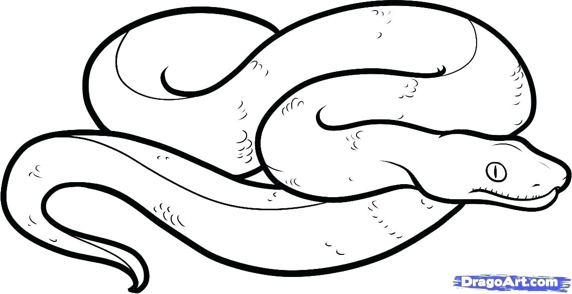 Coloring Pages Of Snakes Rattlesnake Coloring Page Coloring Pages 1139x586 Coloring Pages Of Snakes Rattlesnake Coloring Page Coloring Pages