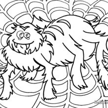 220x220 Spider Coloring Pages