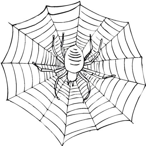 500x500 Scary Spider On A Web Coloring Page Cute Spider