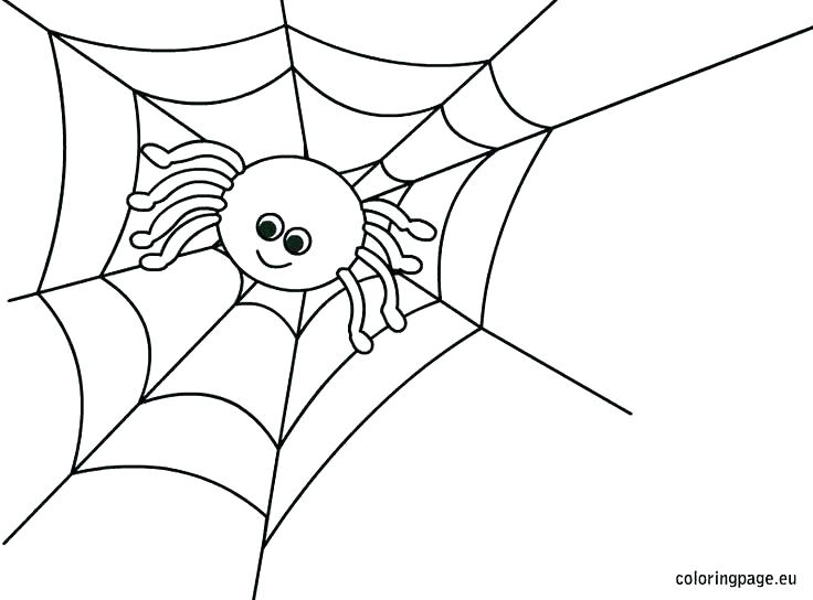 736x544 Spider Color Page Tarantula Coloring Page Tarantula Coloring Page