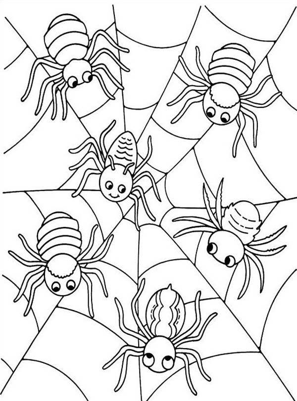 600x811 Cute Spider Coloring Page Image Clipart Images