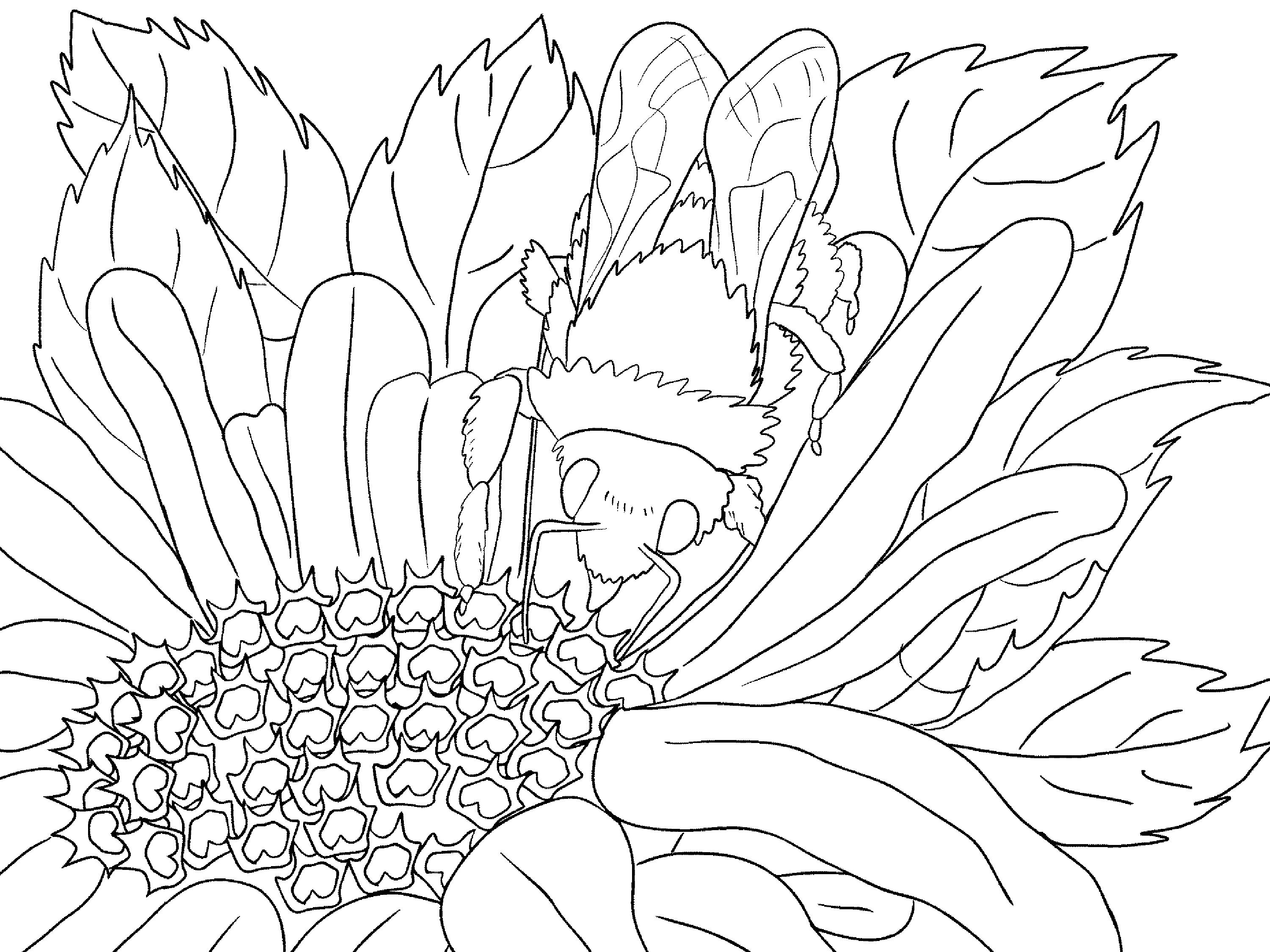 Scenery Coloring Pages