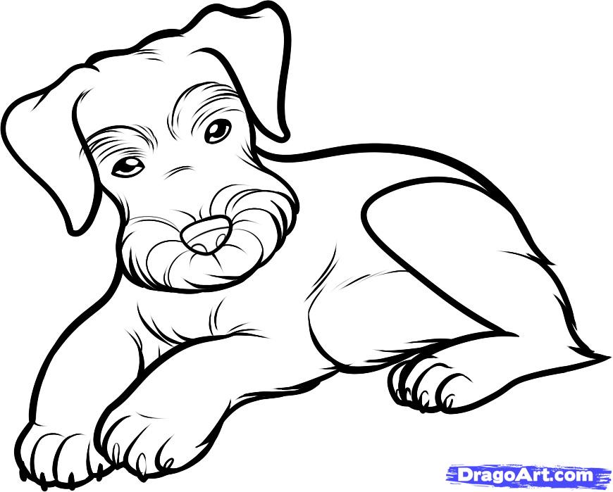 870x699 Schnauzer Coloring Pages