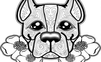 348x215 Schnauzer Puppy Coloring Page Schnauzer Coloring Page Dog