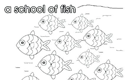 444x271 School Of Fish Coloring Pages