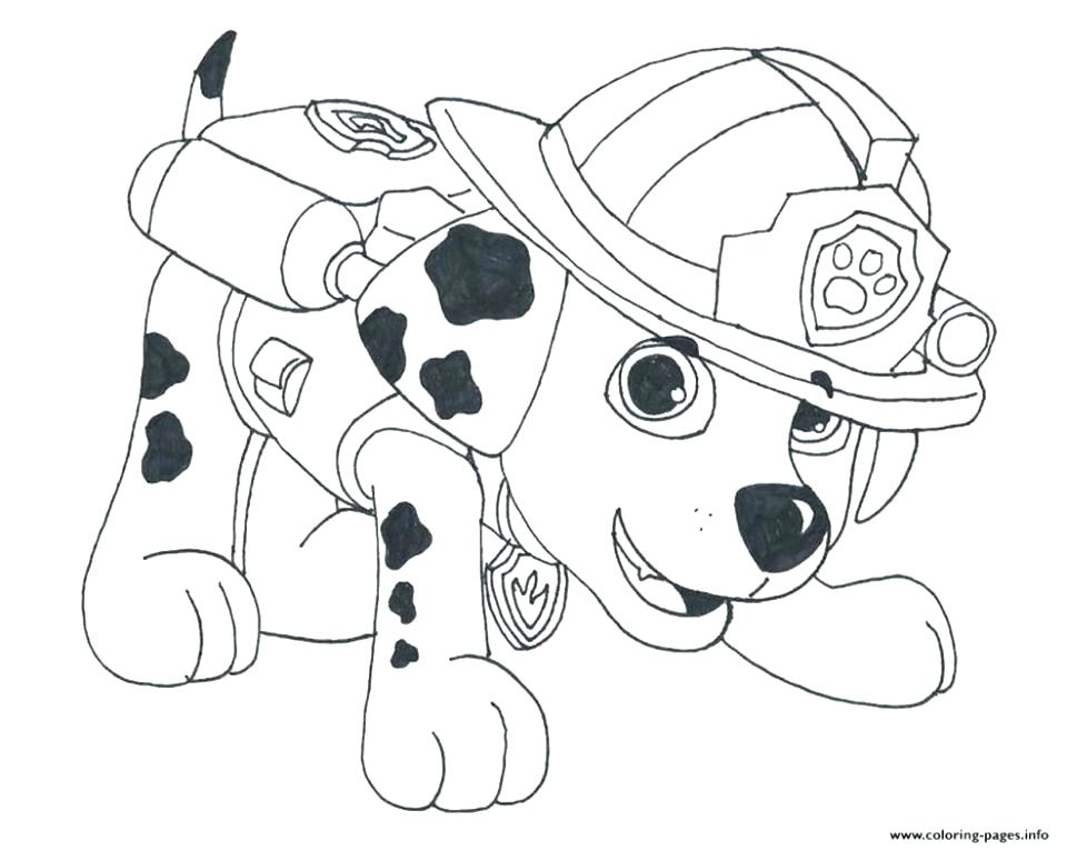 960x766 School Of Fish Coloring Pages School Coloring Pages Little Horse