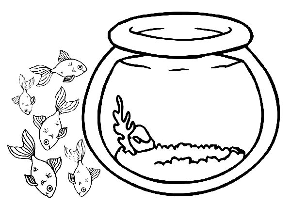 600x423 School Of Fish Outside Fish Bowl Coloring Page