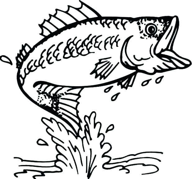 618x577 Coloring Pages Of Fishes Luxury Fish Coloring Page About Remodel