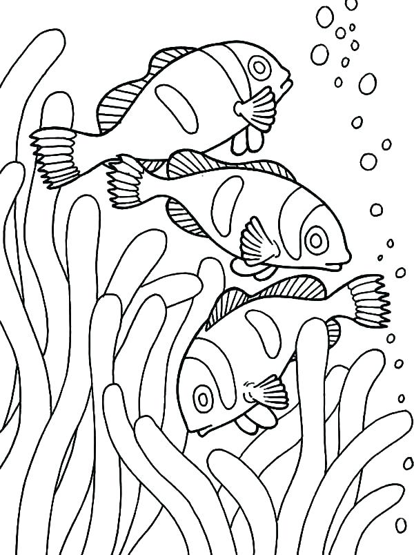 600x804 Fish Color Page Coloring Page Fish Fish Color Pages Also Fish