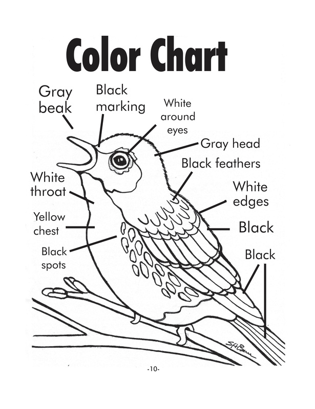 615x800 Kirtland's Warbler Coloring Sheet