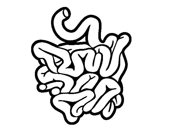 Small Intestine Black And White Coloring Pages 600x470 Small Intestine Black And White Coloring Pages