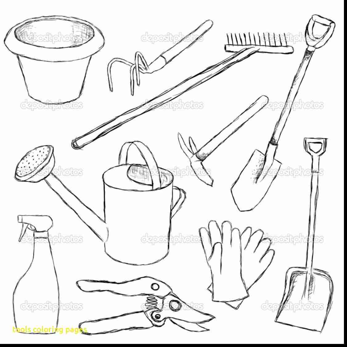 1126x1126 Doctorls Coloring Page Pages Kitchen Utensils Colouring Science