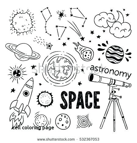 450x470 Biology Coloring Pages Biology Coloring Pages Lovely Image Result