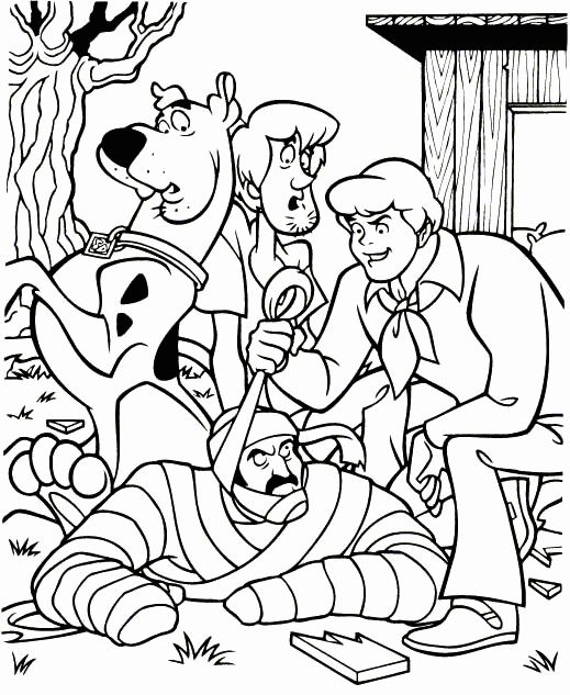 14 Best Scooby Doo Images On Birthday Celebrations 519x633 14 Best Scooby Doo Images On Birthday Celebrations