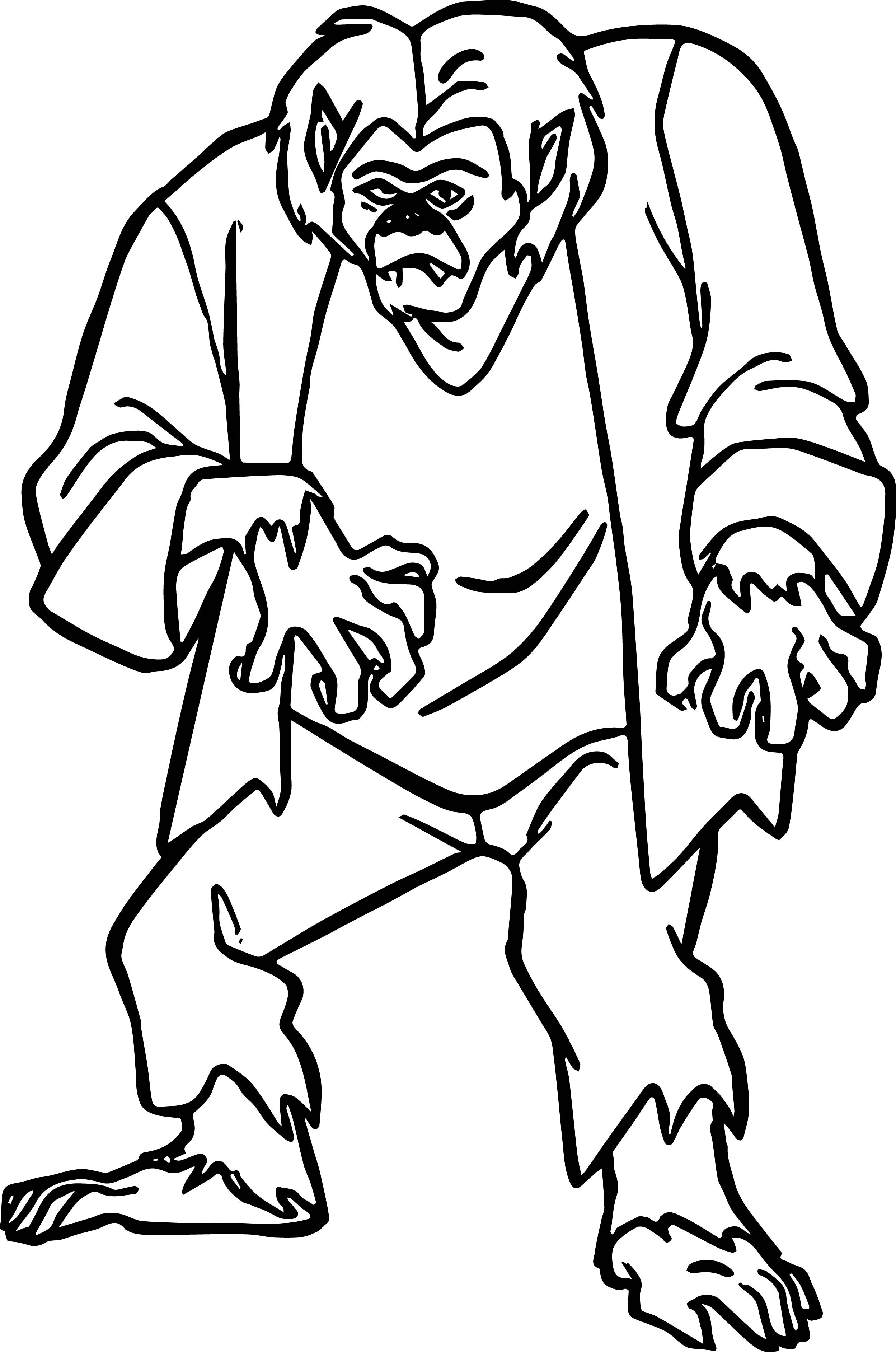 Plain Decoration Scooby Doo Coloring Pages Monster From For Kids 2497x3767 Plain Decoration Scooby Doo Coloring Pages Monster From For Kids